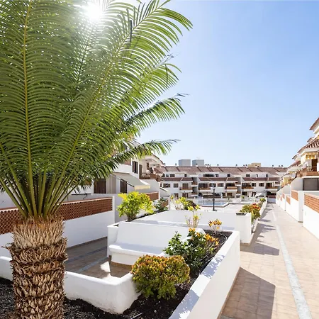Live Cardon Las Americas Con Piscina Y Terraza Lejlighed Arona (Tenerife)