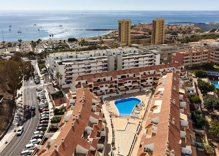 Live Cardon Las Americas Con Piscina Y Terraza